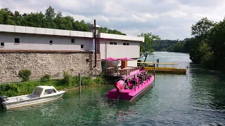 The Rhine Falls in Switzerland July 2020 4K