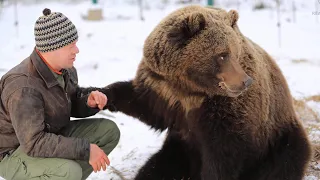 A pilot brought up a bear cub - Amazing story of friendship between a bear and a man