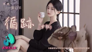 一只白羊 - 循迹（女版）（原唱：王子健）『我看着零落的枯的碎的风肆意地，卷起的那满地的皱褶。』【动态歌词 | Pinyin Lyrics】【二月新歌】【AWALK MUSIC】