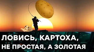 ГОЛОДНАЯ ОСЕНЬ на Донбассе: как выжить, если шансы на нуле — Гражданская оборона на ICTV