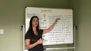 Diabetes Introduction and Patient Education