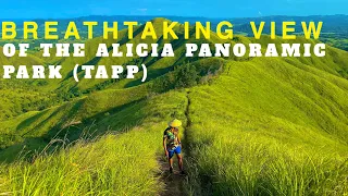 BREATHTAKING VIEW OF THE ALICIA PANORAMIC PARK (TAPP) IN BOHOL, PHILIPPINES