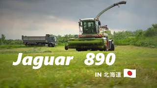 クラース　ジャガー890×２　牧草収穫　2023