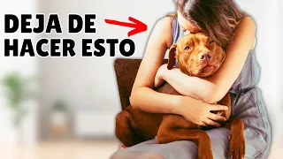 14 cosas que debes DEJAR DE HACERLE a tu perro