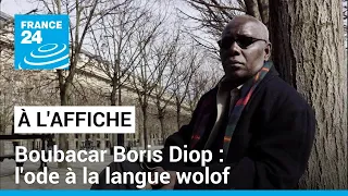 "Un tombeau pour Kinne Gaajo", de Boubacar Boris Diop : une ode à la langue wolof • FRANCE 24