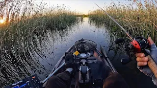 Summer Bass Fishing on the California Delta