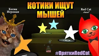 ПРЯТКИ С КОТИКОМ ИГРОМАНОМ В СИМУЛЯТОРЕ ПЧЕЛОВОДА | Hide & seek Bee Swarm Simulator | #ПряткиRedCat