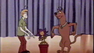 Kids WB: Magical Mysteries Revealed "Scooby-Doo Robots" (2003)