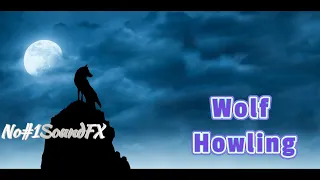 Lone Wolf Howling - Sound Effects - For Youtube Videos - No#1SoundFX