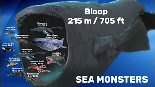 REAL SIZE | COMPARISON of SEA MONSTERS | Bloop