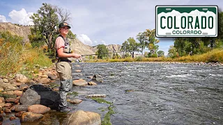 Fishing With Spinners In Flowing Mountain Streams (Rainbow & Brown)