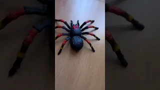 GIANT SPIDER TOY#giant #spider #asmr #satisfying #trending #youtubeshorts #fyp #toys #rosespain