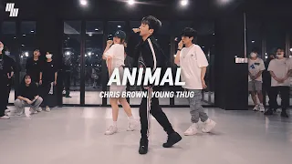 Chris Brown, Young Thug - Animal | Dance Choerography by Ziro | LJ DANCE | 안무 춤