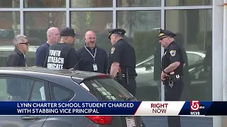Student accused of stabbing vice principal