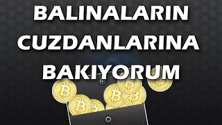 Balinaların Aldığı Coinleri Nasıl Görebilirim ? Bitcoin Cüzdanlarına Bakıyorum