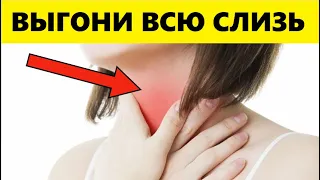 Выгони Всю Слизь! Как Очистить и Защитить Лёгкие От Мокроты и Слизи в Горле Обычными Средствами