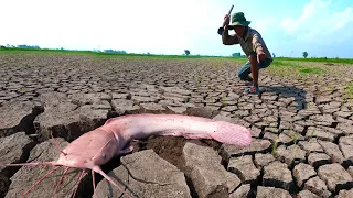 Awesome technique fishing! catch underground monster Redfish in dry season by hand a fisherman