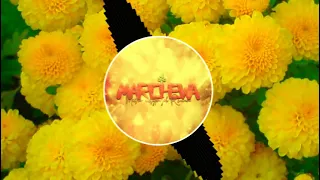 Chryzantemy złociste (Marchewa 4Fun Vixa Remix) 2021