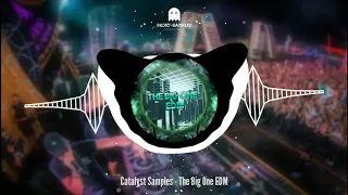 Catalyst Samples - The Big One: EDM (Sample Pack)