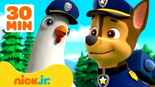 PAW Patrol Rescues Chickaletta! 🐔 w/ Chase & Rubble | 30 Minute Compilation | Nick Jr.
