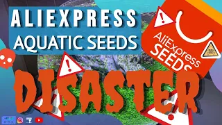 ALIEXPRESS AQUATIC SEEDS DISASTER - EVOLUTION AND CONCLUSIONS