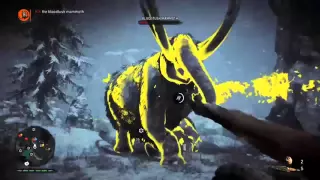 Far Cry Primal Hunting and Killing the Bloodtusk Mammoth BOSS FIGHT (BEAST MASTER HUNT)