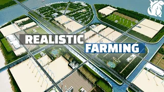 Building An Authentic Farming Area in Cities Skylines | City of Canalville