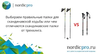 Палки для скандинавской ходьбы,  как выбрать правильные  и отличия скандинавских палок от треккинга