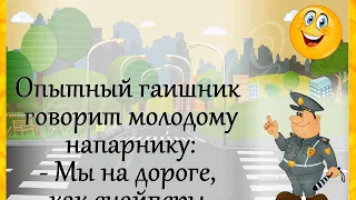 Анекдоты! Юмор! "Опытный гаишник говорит молодому напарнику..." Позитив за рулём!))