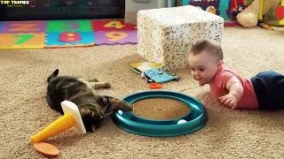 FUNNY BABY ★Забавные Малыши Играют с Котами