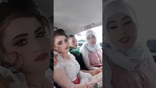 شوف العريس شلون ضايج لان خوات العروس جايت علمود الغدة ولا يستحن 😒😂