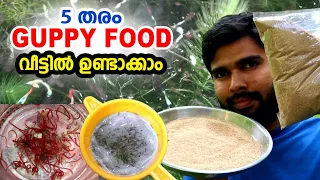 Guppy food making idea തീറ്റ വാങ്ങാൻ ഇനി പണം ചെലവാക്കണോ ? My farming EP370