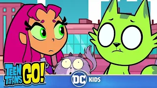Teen Titans Go! em Português | Melhores Momentos de Gatos! | DC Kids