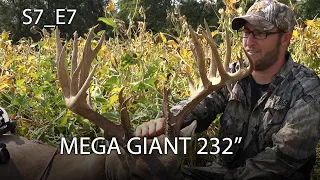 Giant whitetails in Kentucky and Missouri