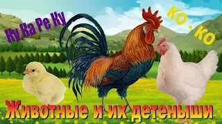 Животные и их дети ☀️ Развивающие видео для самых маленьких 0+ мультики Как говорят животные