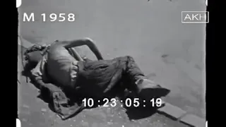 Сталино лето 1943