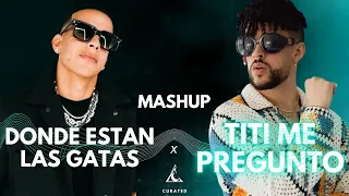 Donde Estan Las Gatas x Titi Me Pregunto Mashup [Daddy Yankee x Bad Bunny] De La Noche Curated 2023