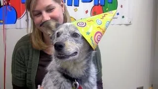 A season of giving, a season of thanks...a surprise Birthday party for Ruddy!