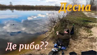 ДЕСНА, дай РИБУ!!! В активному пошуку ПЛОТВИ // Фідерна риболовля