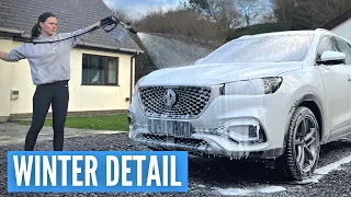 Winter Deep Clean Detail | Exterior Wash, Decon & Protection