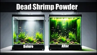 Dead Shrimp Powder From Shrimp Mania