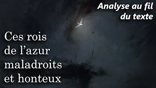 BAUDELAIRE 🔎 Les Fleurs du Mal - L'Albatros (Analyse au fil du texte du poème)