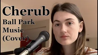 Cherub - Ball Park Music (cover) || Jamie Palangio