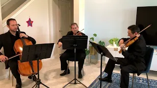 Sunset Strings' string trio performs Harvest Moon by Neil Young