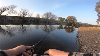 Trout Season Opening 2023 | Goulburn River