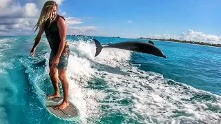 Surfing With Dolphins and Swimming with Whales in Turks and Caicos!