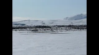 First Lake Spring Goose Hunting