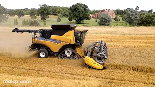 4Kᵁᴴᴰ Claas Lexion 7700TT and NH CR9.90 Revelation combines cutting barley near Saxmundham, Suffolk.