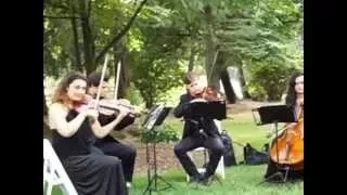 String Quartet plays Pachelbel's Canon at Jackie & Jerry's Wedding ceremony