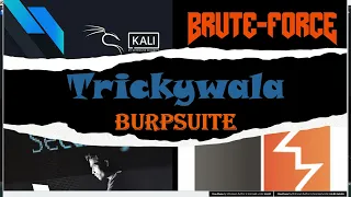 Perform Bruteforce attack using kali linux tool Burpsuite